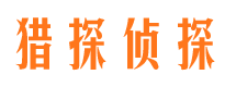 奉新市调查公司